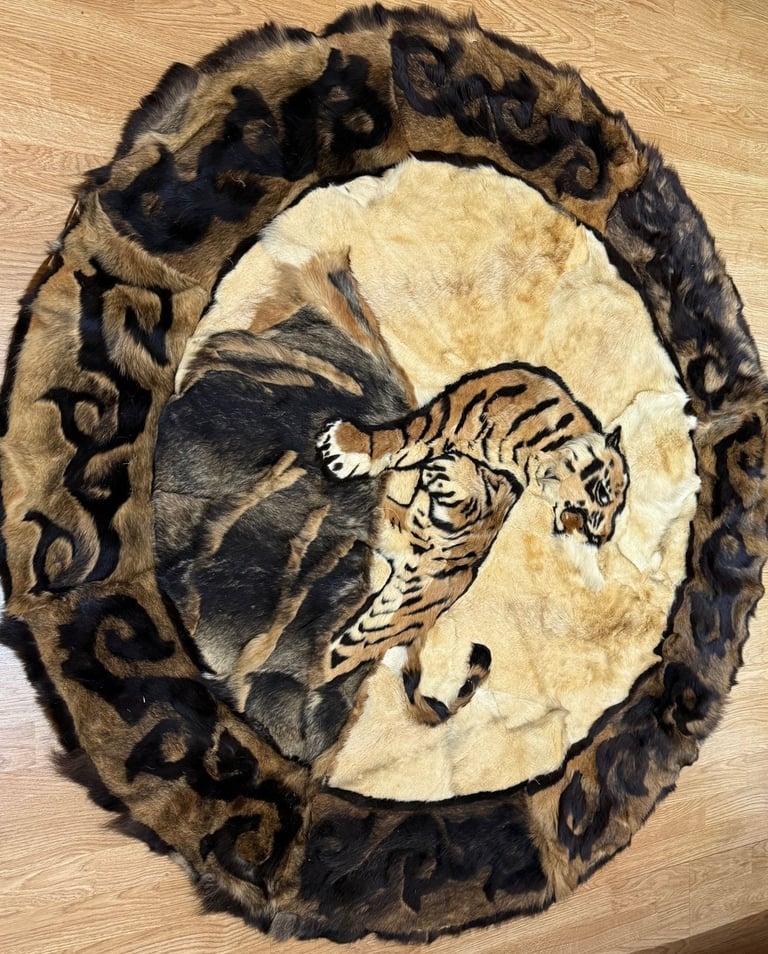 Pre 1950 Taxidermy Wall hanging Indian Tiger Art with Whiskers Antique Vintage Very Rare Quick Sale