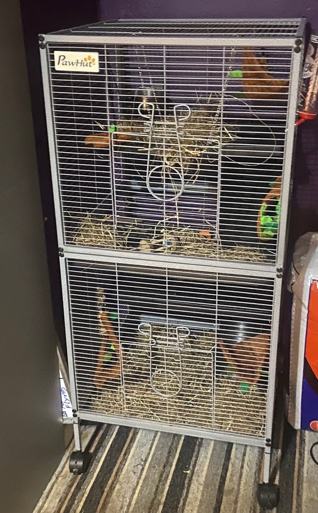 Small mammal cage