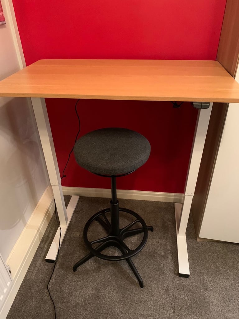 FLEXISPOT Electric Standing Desk, Sit Stand Table Height Adjustable Desk for Home Office 100 x 60cm