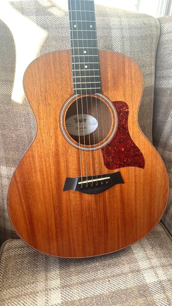 Taylor gs mini gumtree new arrivals