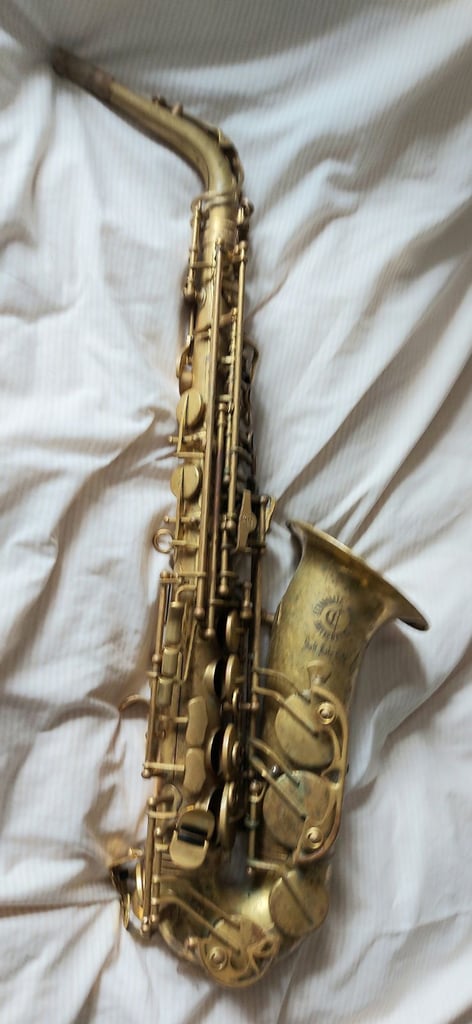 Cannondale Mad Meg alto sax