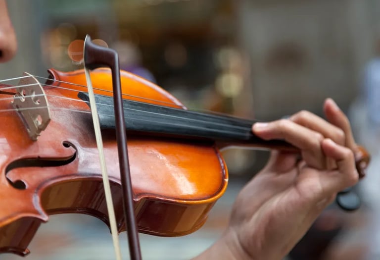 Violin lessons online with professional 