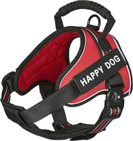 Dog Harness- Adjustable Safety Buckles, Soft Padded Breathable 