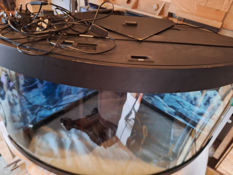 300ltr Corner Fish Tank (Juwel)