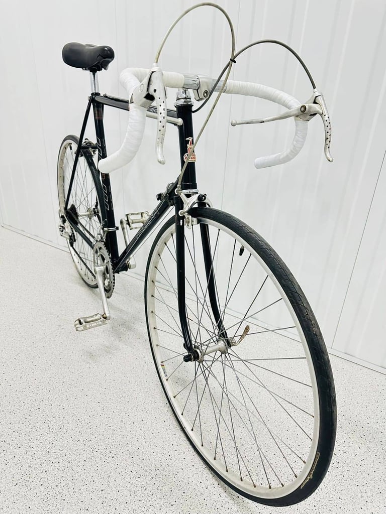 RALEIGH RECORD Size/L Fully Serviced 10 Speed Road Bike WARRANTY