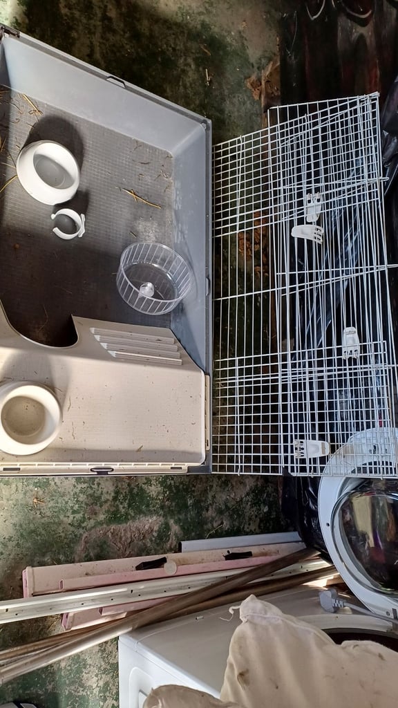 Guinea pig or small rabbit indoor cage