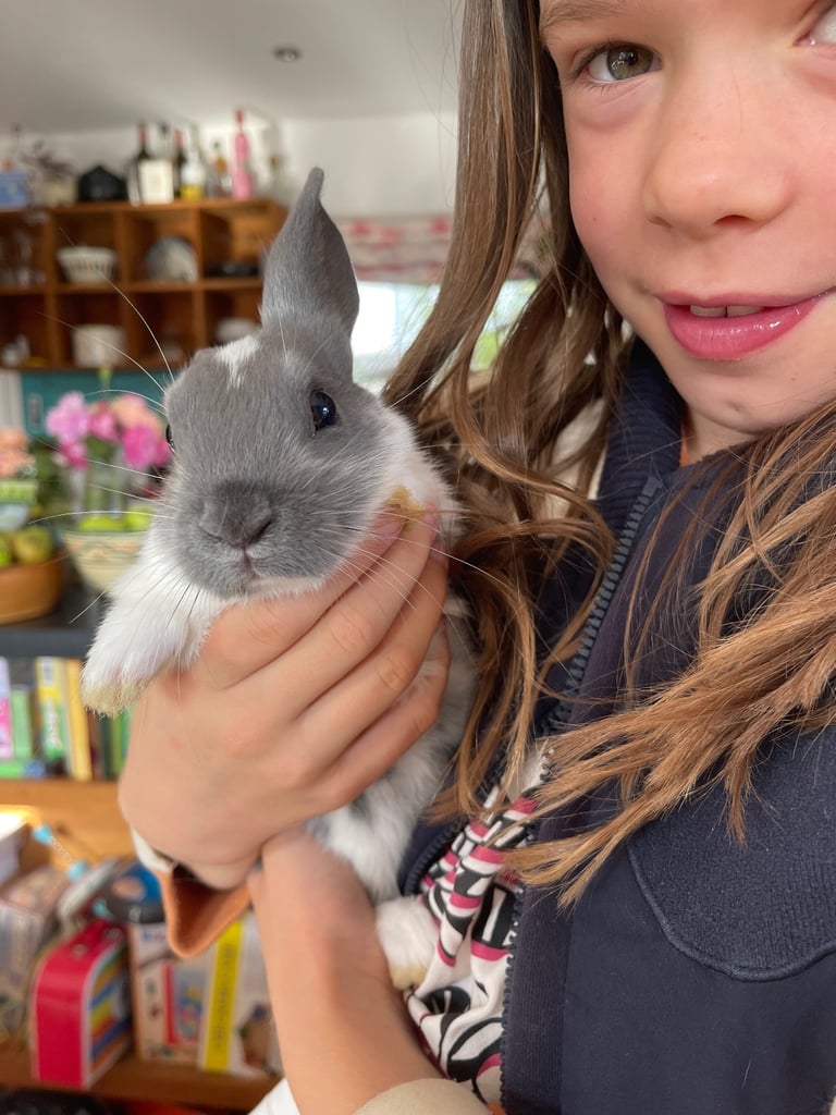 Gorgeous friendly 3 month old rabbits