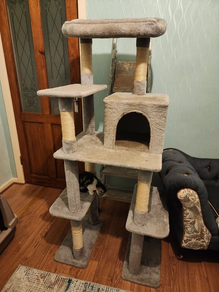 Tall cat tree