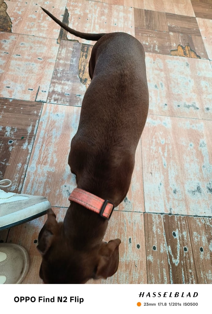 Due to leaving country 