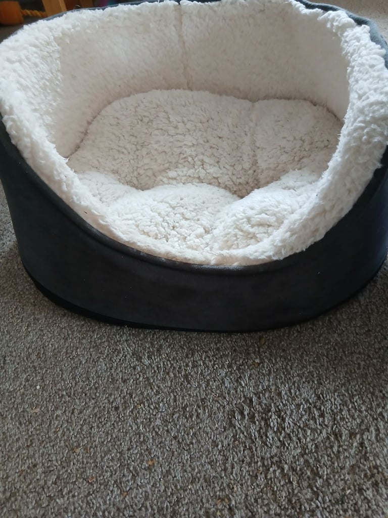 Bumper Puppy Accessories Pack