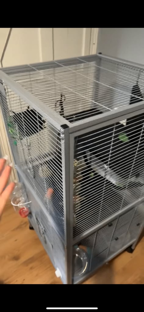 Ferret/chinchilla Cage 