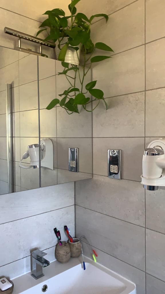 2 Rooms in 2 Bedroom Modern House 