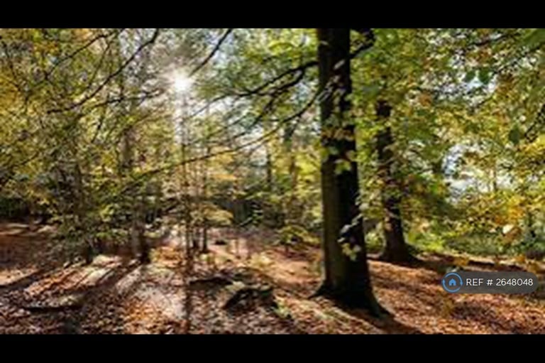 4 bedroom house in Oakfield Road, Alderley Edge, SK9 (4 bed) (#2648048)