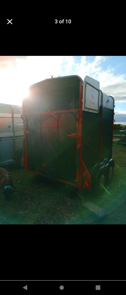 Horsebox trailer 