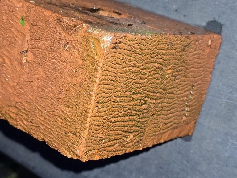 Facing Bricks - Ibstock Wire Cut Red Anglian - New Unused - approx 400 off