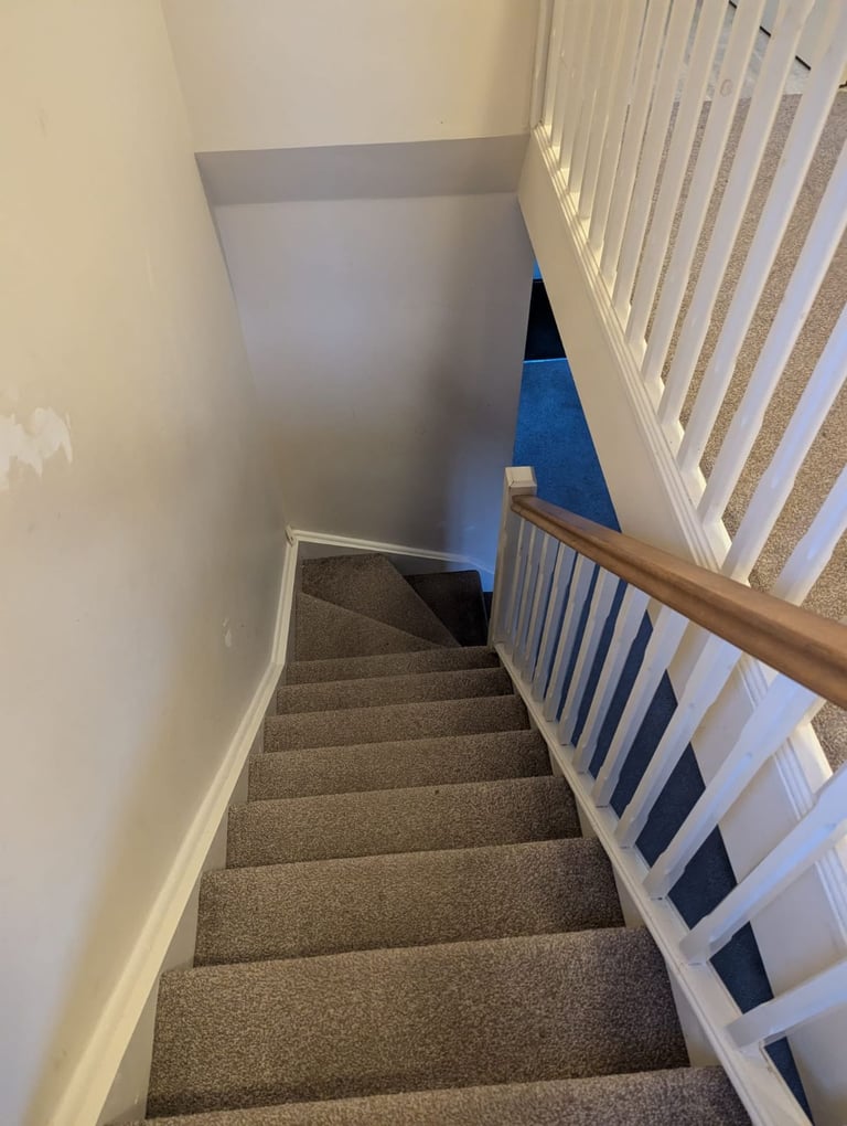 Single room for rent 
