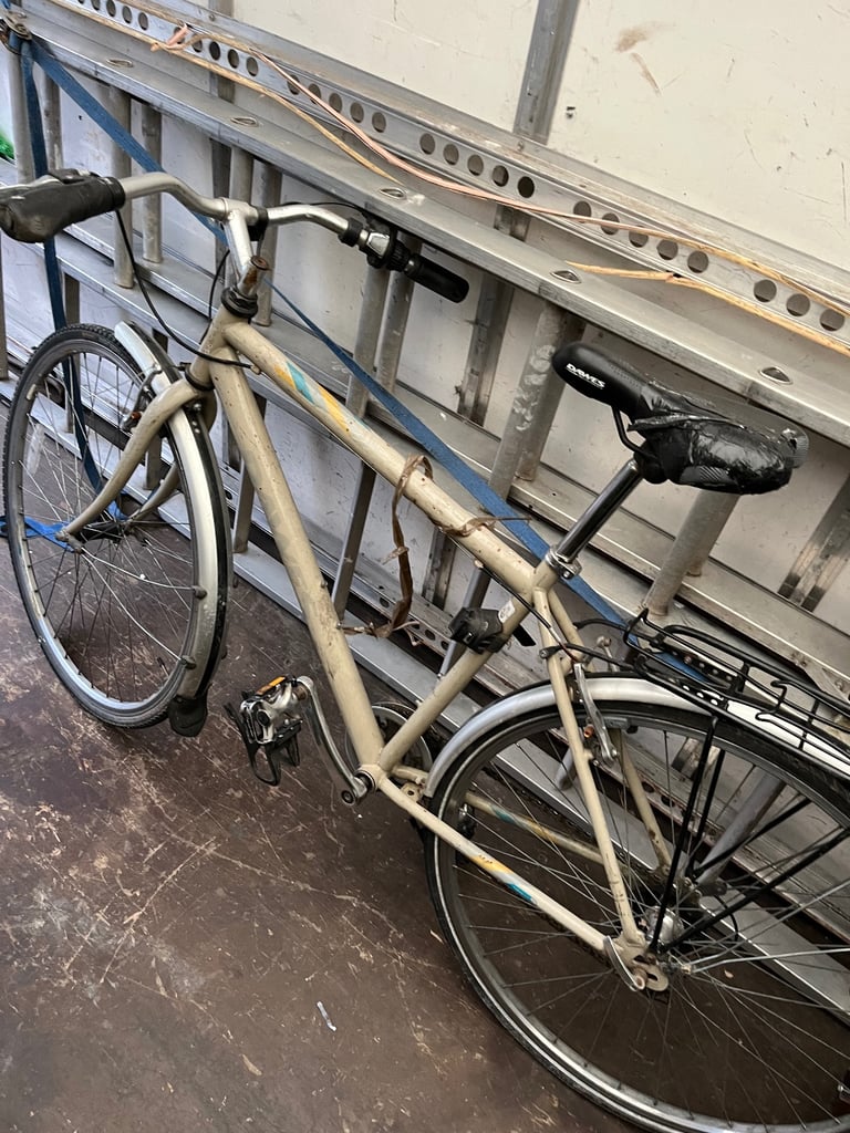 Dawes Vintage Woman’s Bike