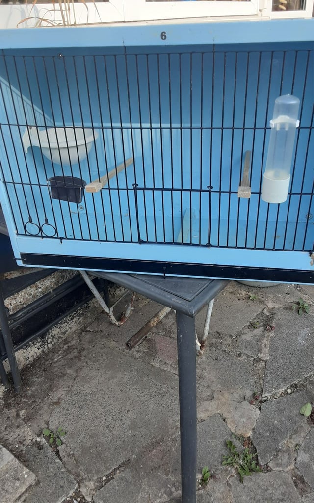 For sale breeding cage 