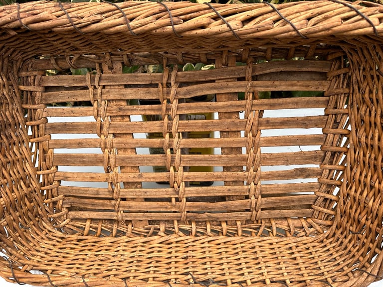 ANTIQUE FRENCH GRAPE HARVESTING BASKET, CHAMPAGNE PANIER DE VENDANGES, 87x57cm, 1900s - WILL POST!
