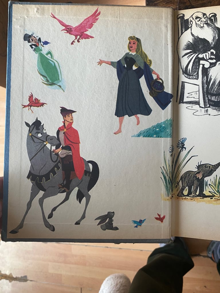 Walt Disneys Giant Story Book (1974)