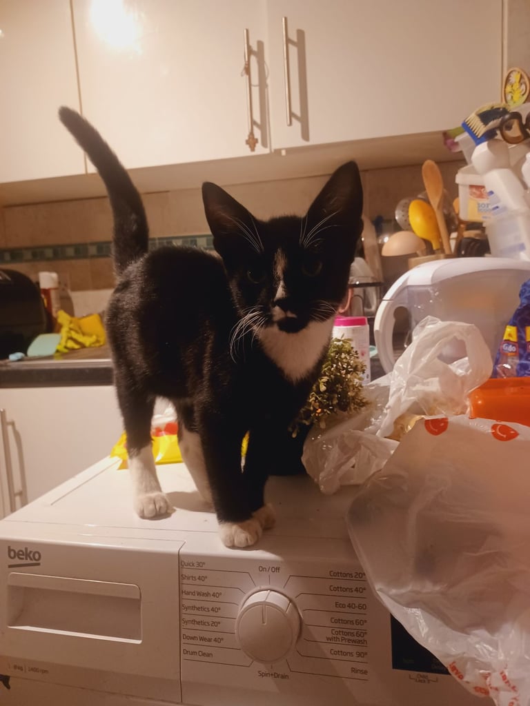 New home needed