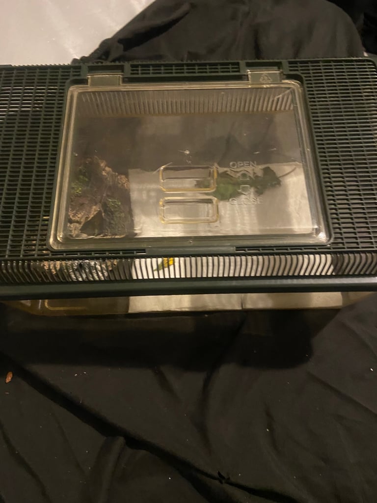 pet cage 