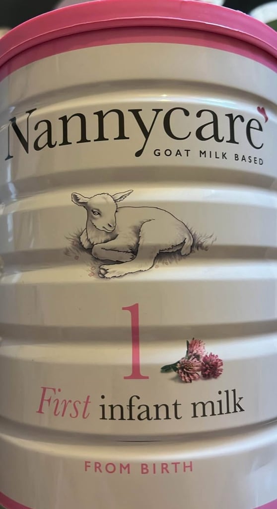 image for Nanny care stage 1