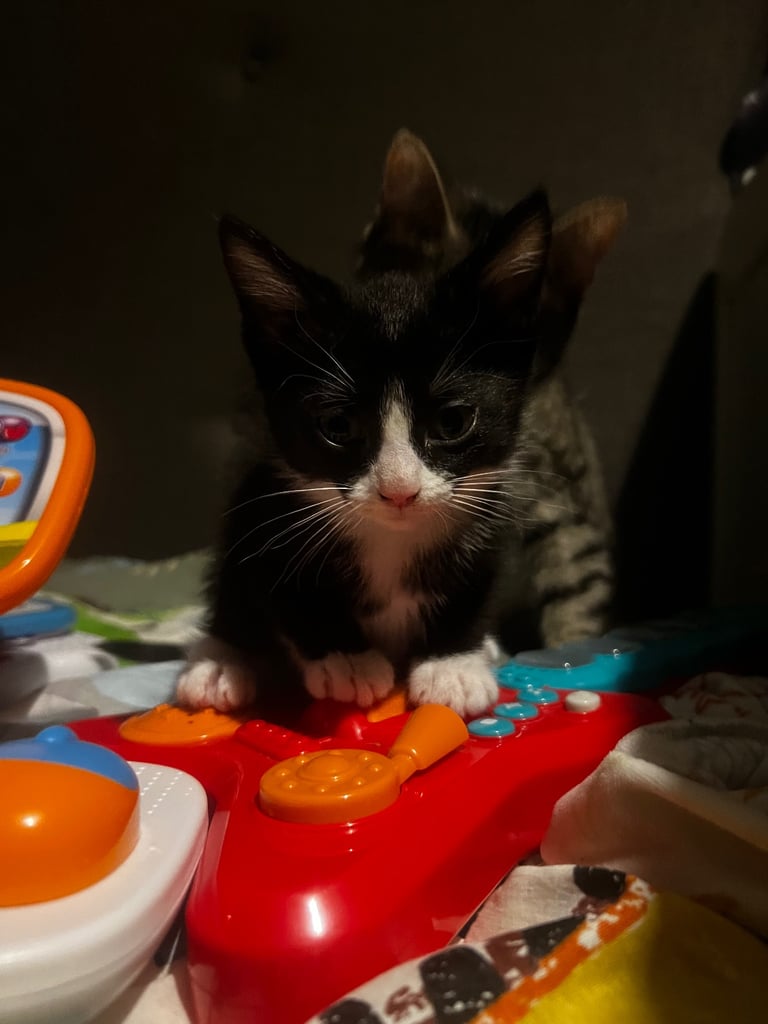 3 girls *ready now**