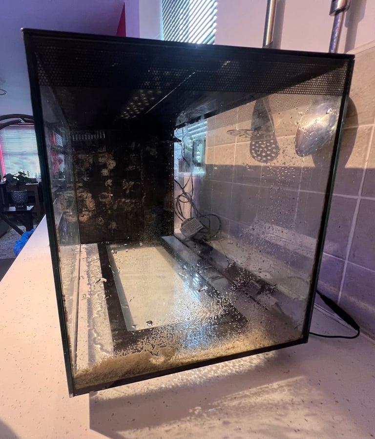 EVO 52L fish tank 