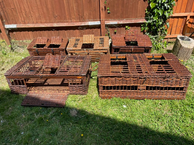 5 x Racing Pigeon wicker baskets - Open To Offers