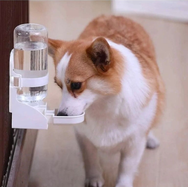 Suspended Water Dispenser Bottle 500ml for Small Animals Pets Portable - Blue