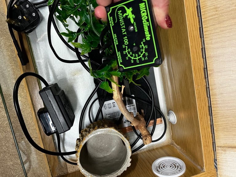 Small vivarium 