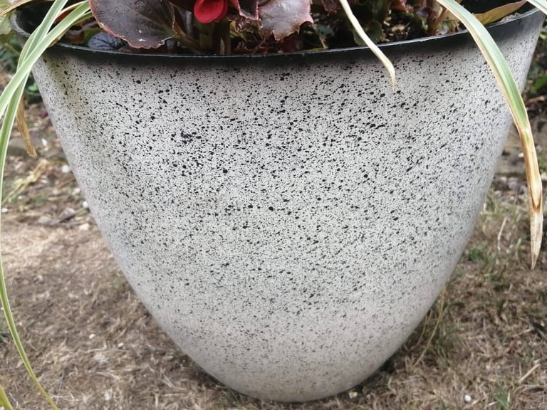 Pair of matching speckled planters Arundo Ely green & White  Begonias Aguja black scallop plants