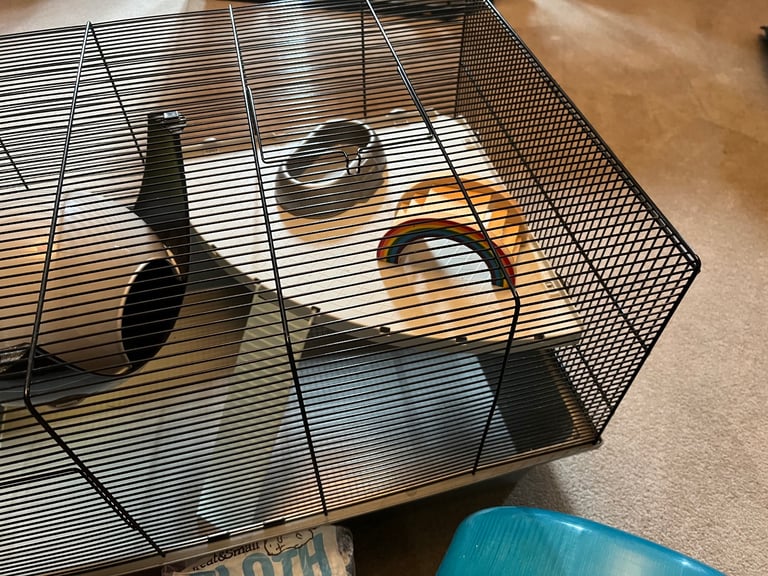 Hamster Cage and Accessories 