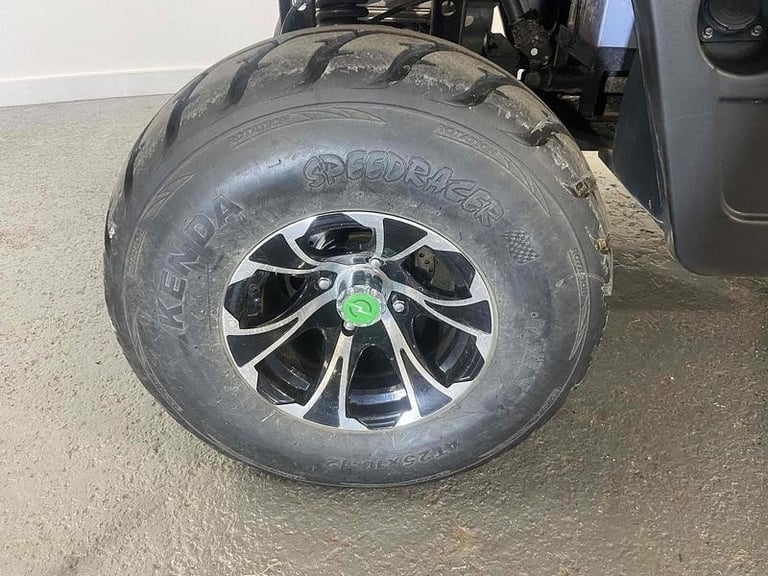 Electric Wheels Nipper 4x4 UTV like Gator