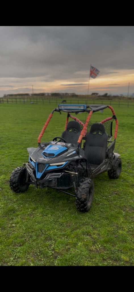 image for Quadzilla 2020 120cc Buggy 