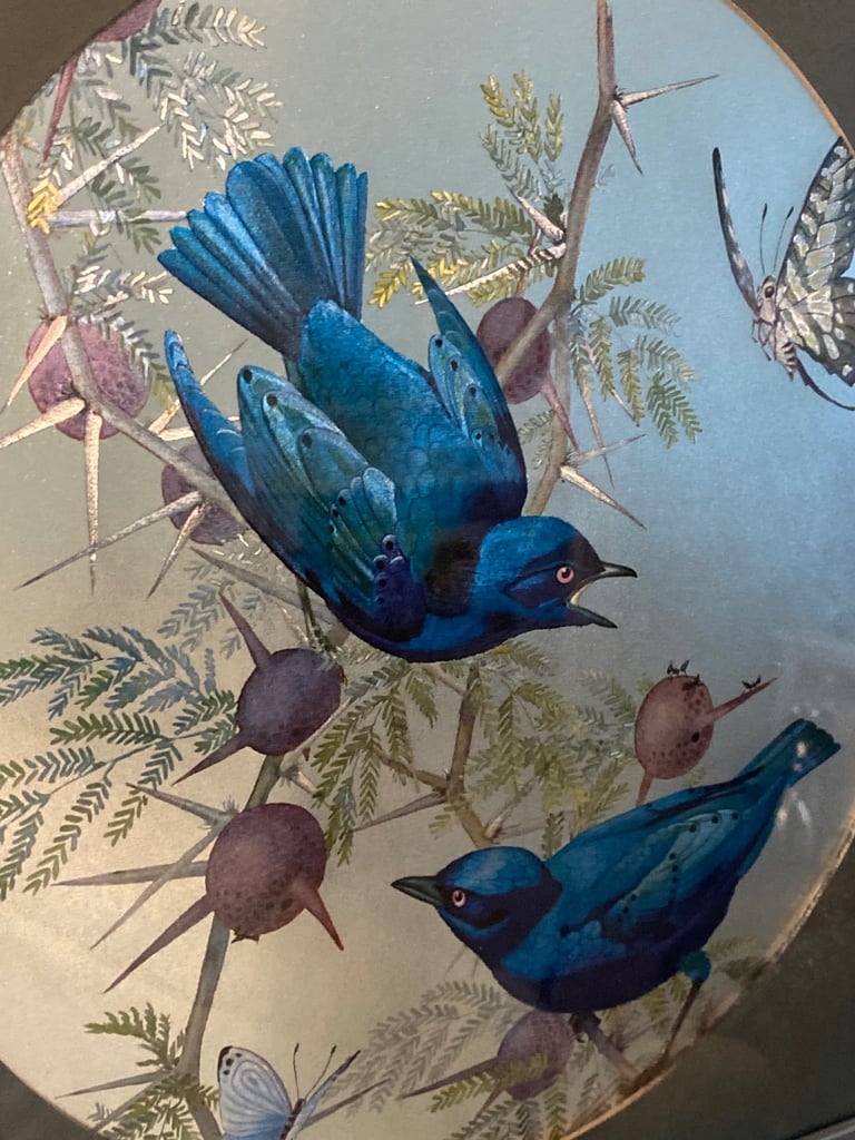 STUNNING BIRD PICTURE IN SILVER FRAME