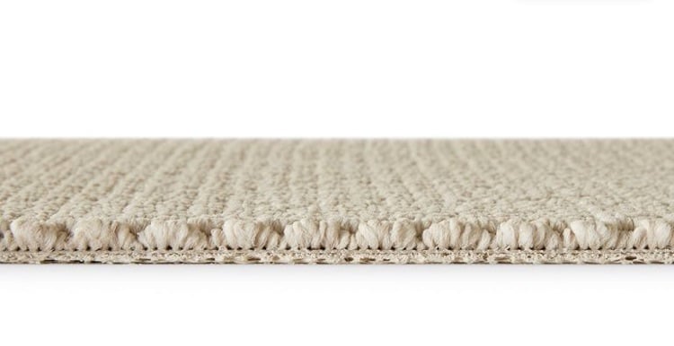 Cream Carpet 2.3 x 2.9m brand new
