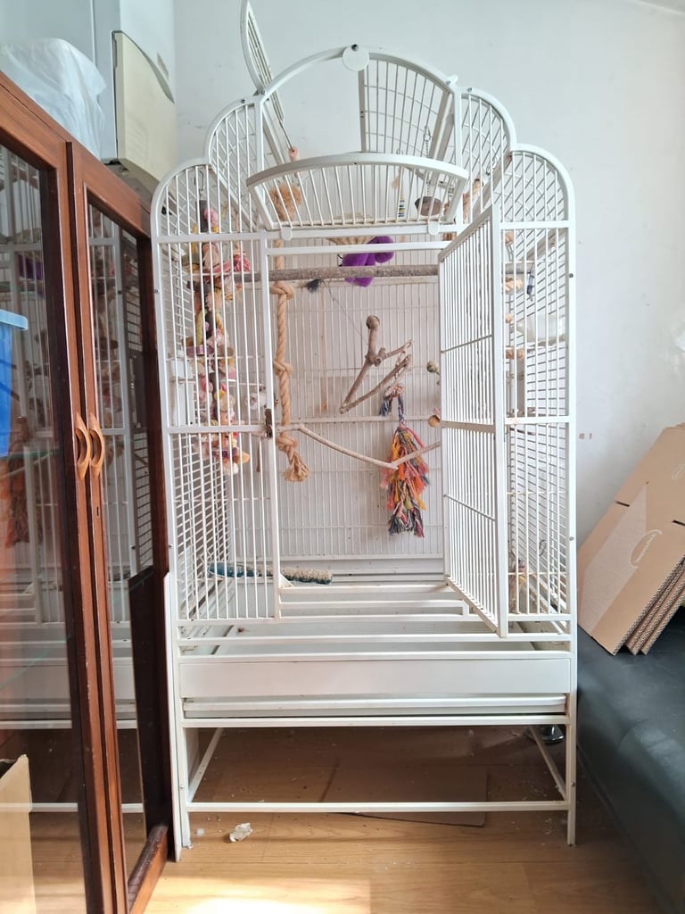 Extra large bird cage (5feet high and 2.5feet wide)