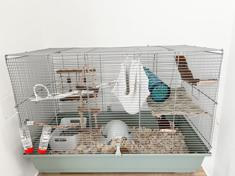 Rat cage & toys, bedding, food etc | in Christchurch, Dorset | Gumtree