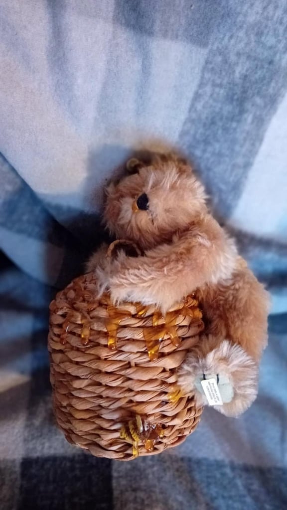 Collector Bear on Bee Hive