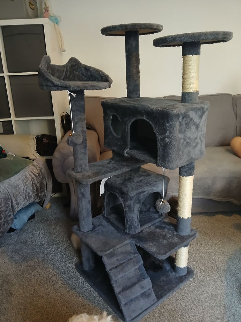 Cat stand
