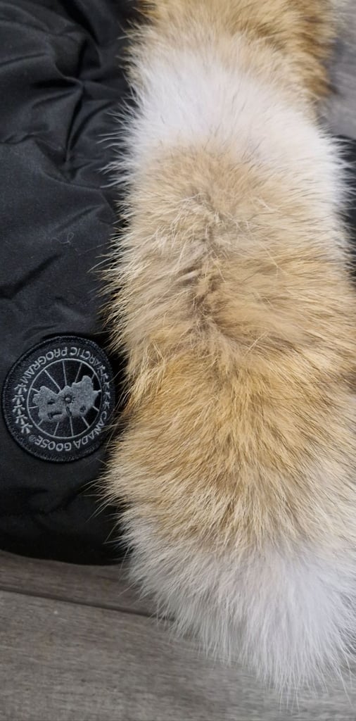 Canada Goose Wyndham Black badge 
