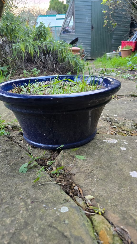 image for Blue stone plant pot