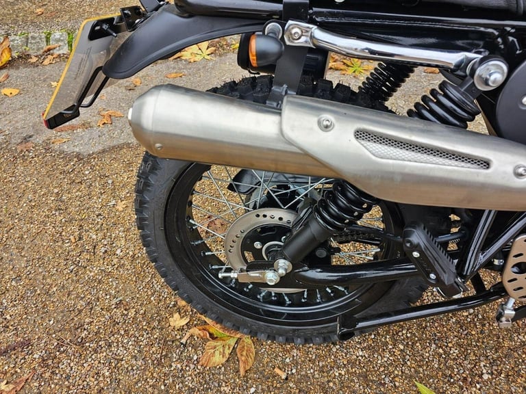 AJS DESERT SCRAMBLER 71 SCAMBLER  Other Manual Petrol 2023 