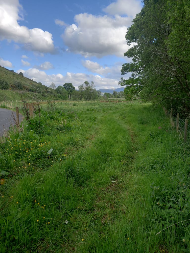 image for Land for rent between Peebles and Eddleston 