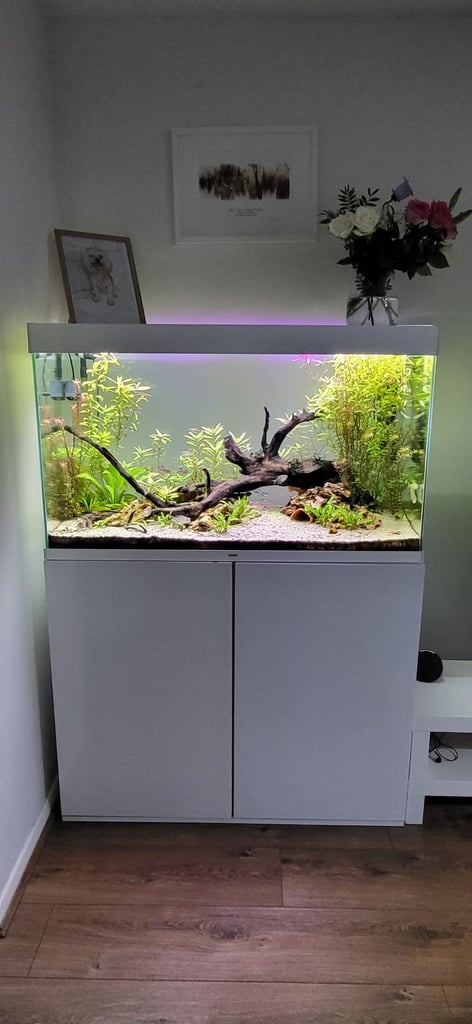 image for 200L Fish Tank