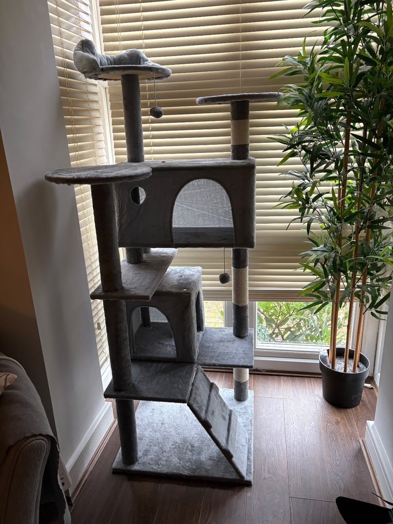 FREE - Cat Tree 5 foot 