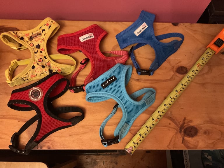 Small dog puppy harnesses and toy balls