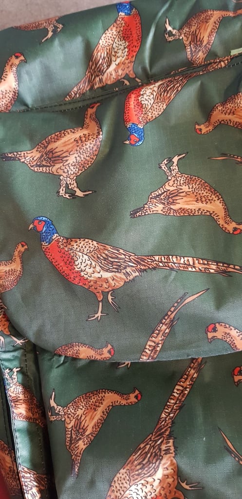 image for Unusual pheasant backpack